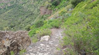 GC-Caldera de Bandama 2026-052.jpg